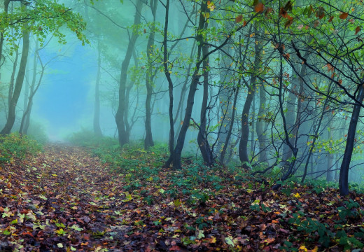 1753895 (a): :3000x2074